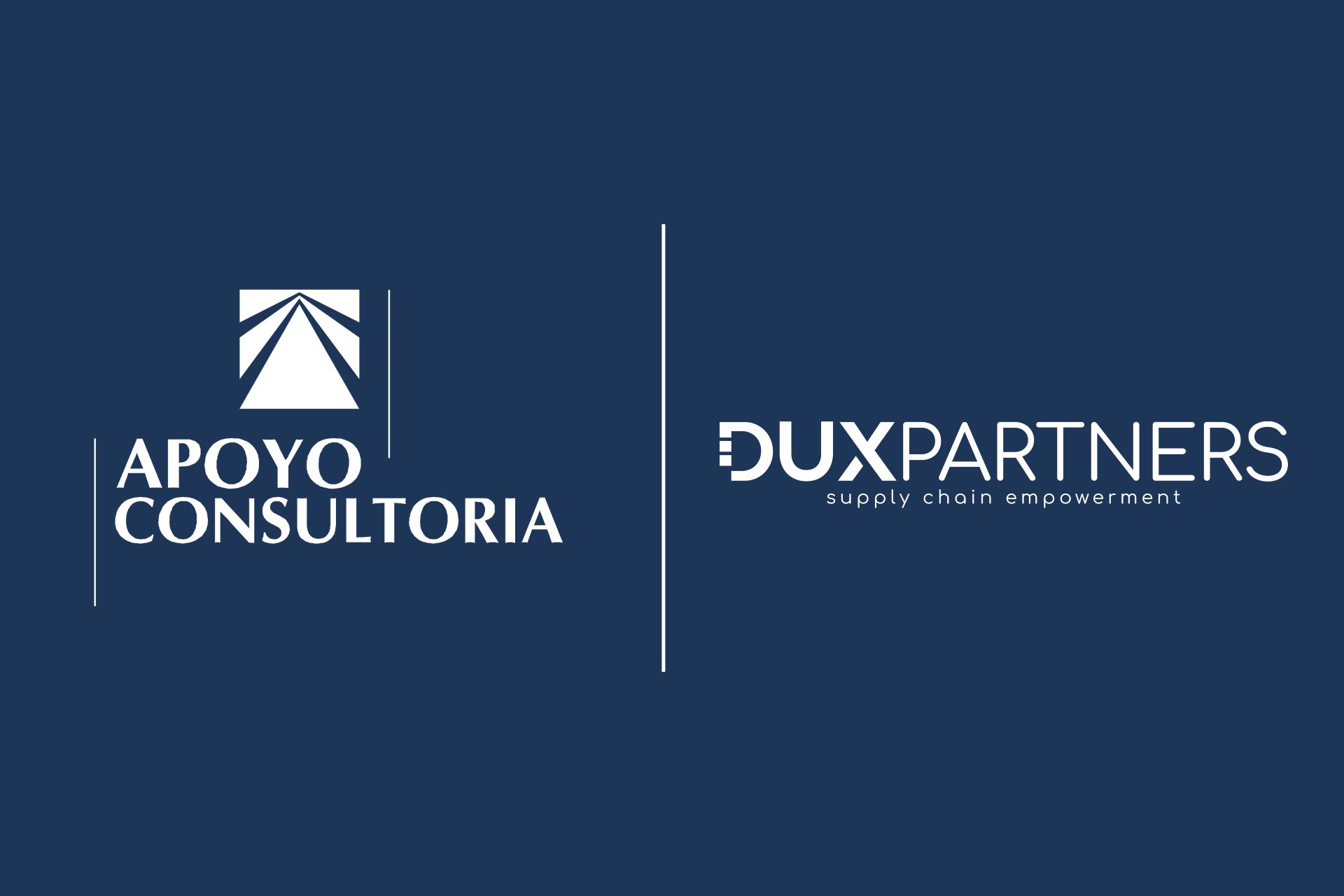 Dux Partners En Perú Consultoria En Supply Chain Dux Partners 8536